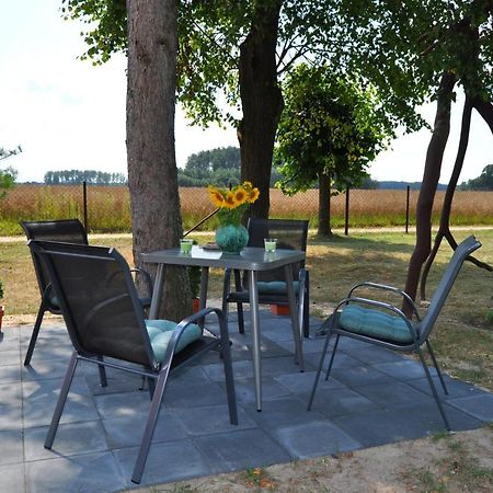 Agroturystyka "Lesne Zacisze Na Podlasiu" Tuczna Exterior photo