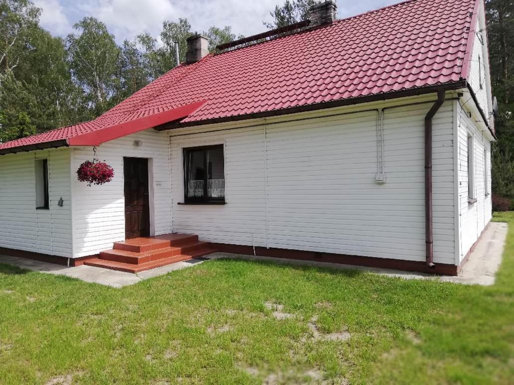 Agroturystyka "Lesne Zacisze Na Podlasiu" Tuczna Exterior photo